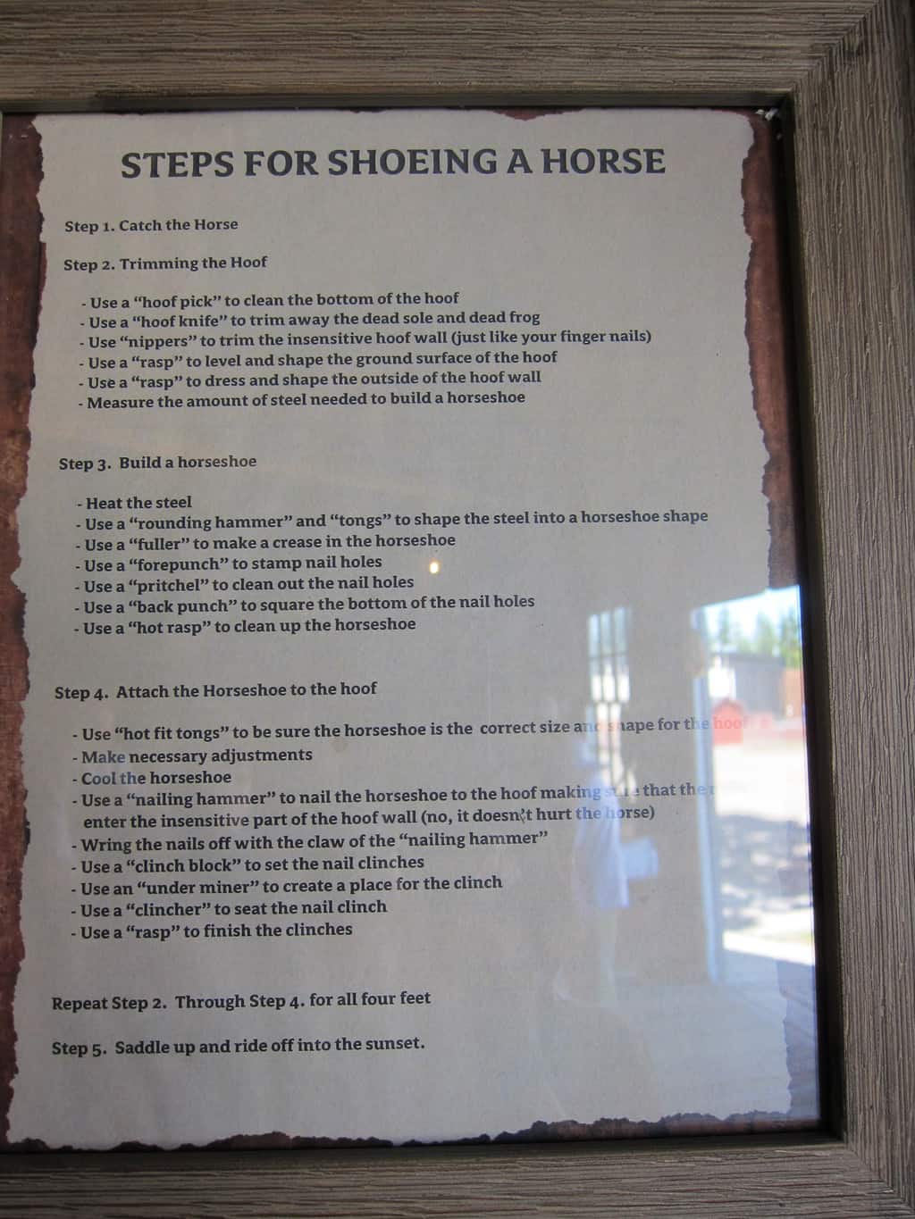 shoeing a horse instruction